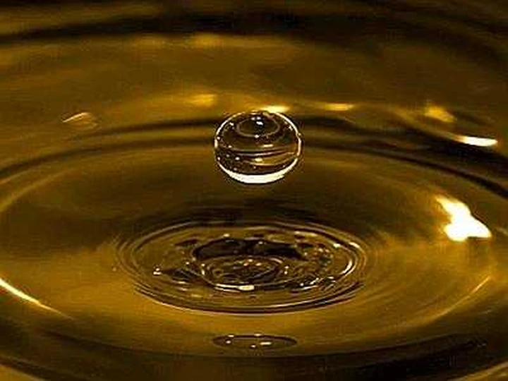Diesel: con l'olio vegetale inquina meno!