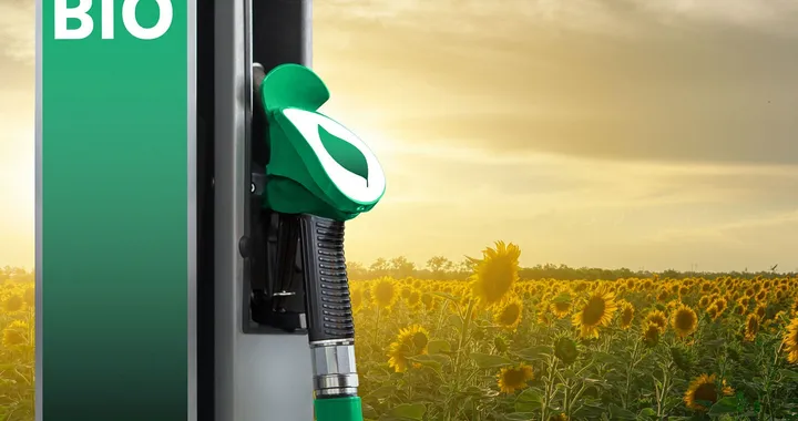 Biocarburanti: cosa e quali sono, vantaggi per il settore auto