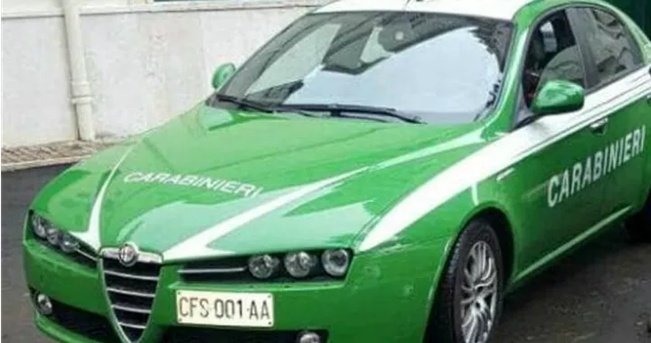 Auto dei Carabinieri verdi? Ecco perché...