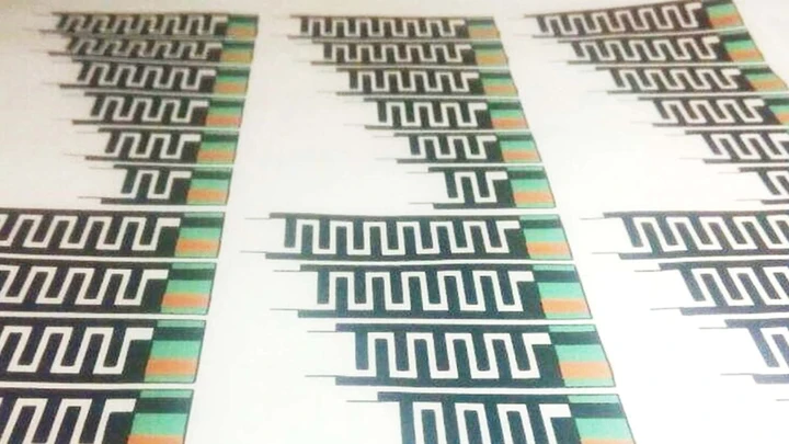 Batterie biodegradabili: la svolta ecologica dalla Binghamton University