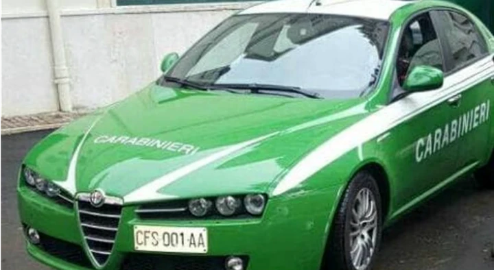 Auto dei Carabinieri verdi? Ecco perché...