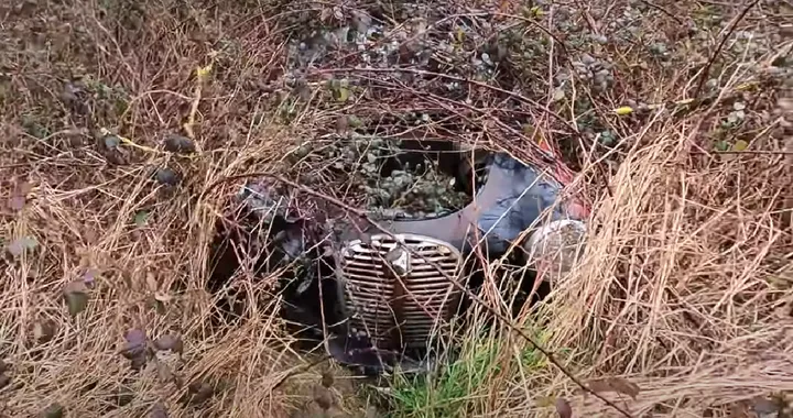 Scopre un tesoro in un fattoria abbandonata: tante auto dimenticate [VIDEO]