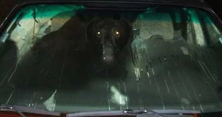 Toyota: tanto va l'orso a lardo, che ci lascia...