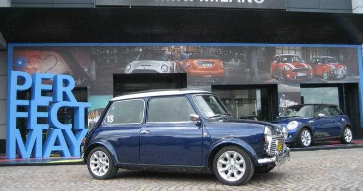 International Mini Meeting 2013