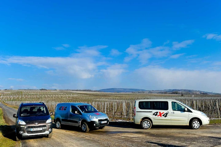 Peugeot Dangel