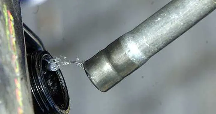 La benzina si produce anche dai batteri