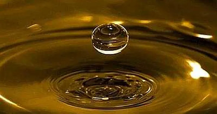 Biocarburanti: a ruba l'olio usato dai ristoranti