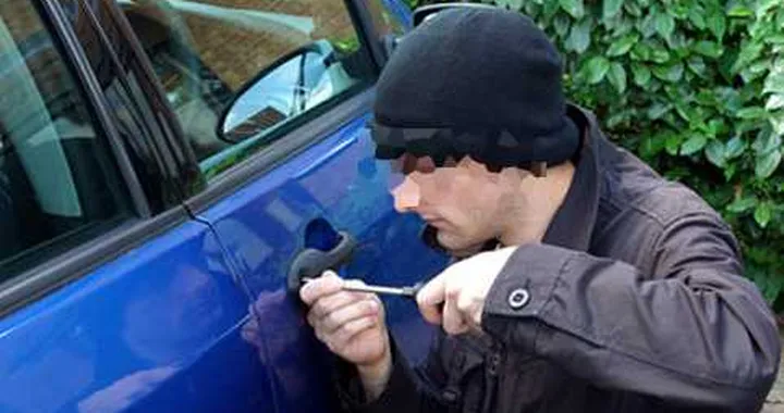 Si ritira il ladro che ha rubato più di 2.000 auto