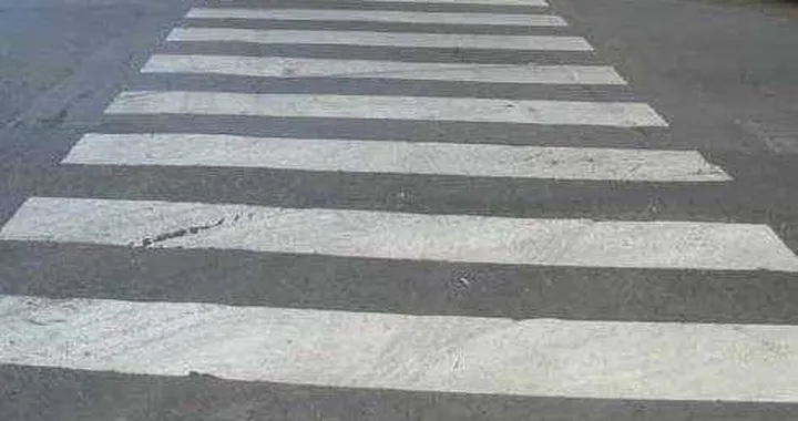 Forlì: ragazza regala 
