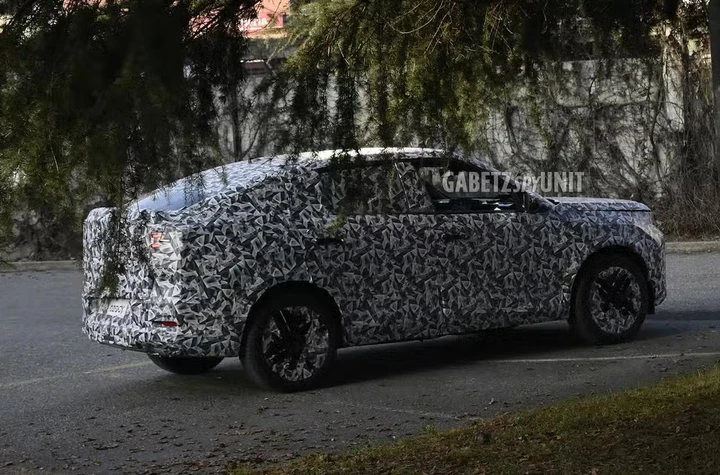 Nuova Fiat Panda Fastback: foto spia, motori e design del SUV Coupé