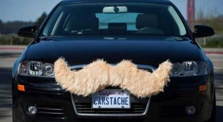 I 22 accessori per auto più assurdi