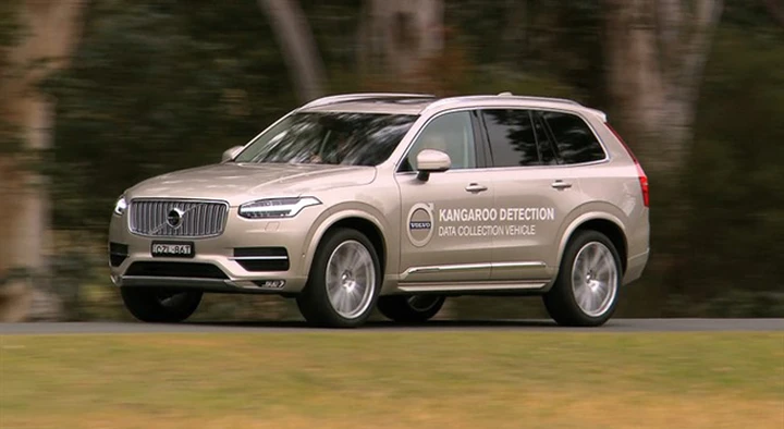 Volvo studia un sistema di rilevamento canguri