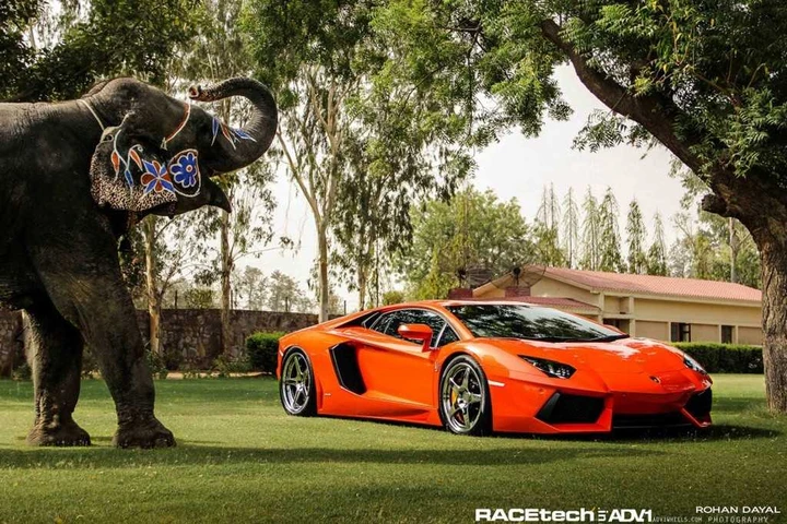 Lamborghini Aventador: in posa con l’elefante