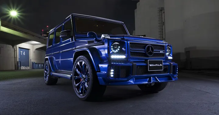 Mercedes-AMG G 63 by Wald