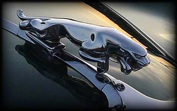 Nuova Jaguar X-Type: 