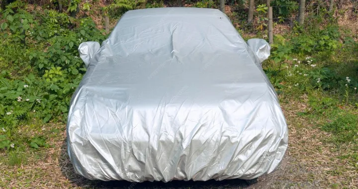 Auto parcheggiata in strada: attenzione alle possibili sanzioni