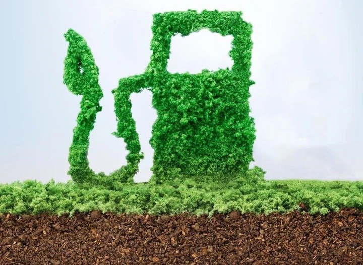 E-fuel e Biocarburanti: tutte le differenze