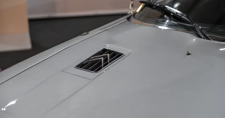 DS (3)