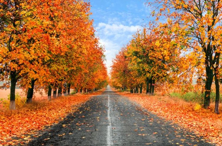 La guida difensiva in autunno