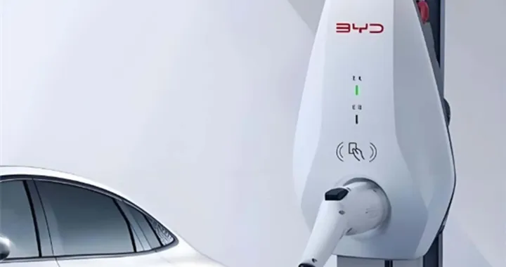 BYD punta sulla condivisione: le wallbox diventano social