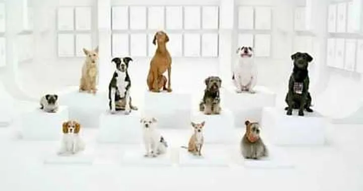 Volkswagen: spot 