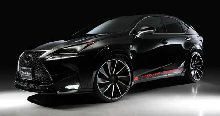 Lexus NX by Wald International