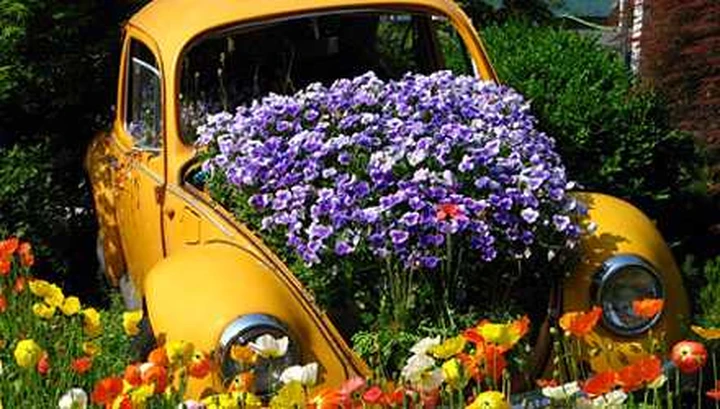 Solo il 4% delle auto italiane è ecologica