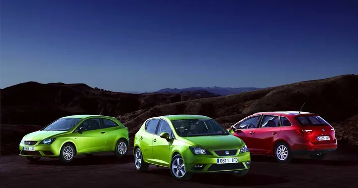 Seat Ibiza 2012