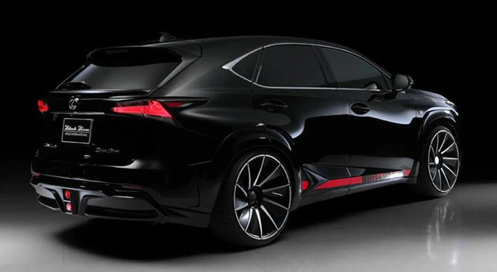 Lexus NX by Wald International