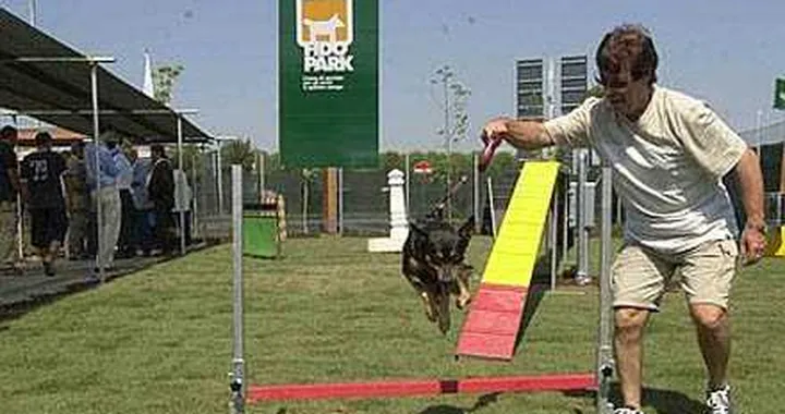Fidopark: ecco le aree per cani in autostrada