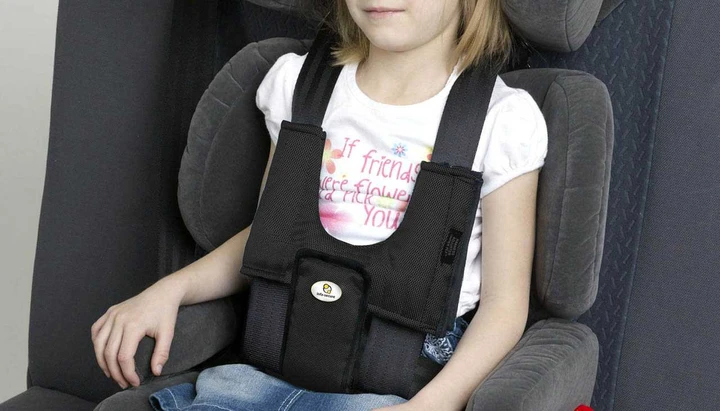 Guida al trasporto di animali, bambini e oggetti voluminosi