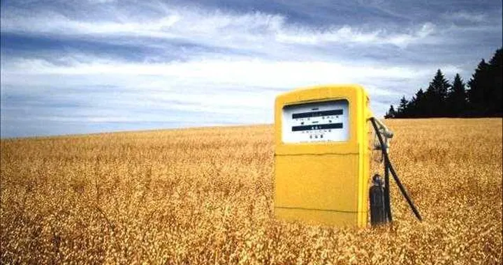 I biocarburanti? Causano la deforestazione