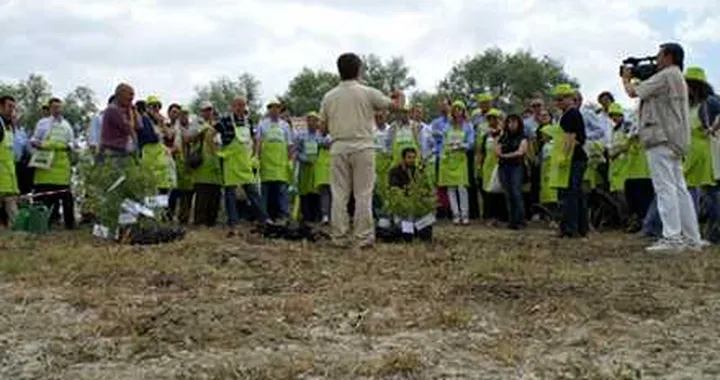 Eco Tagliando Toyota: inaugurata la prima foresta