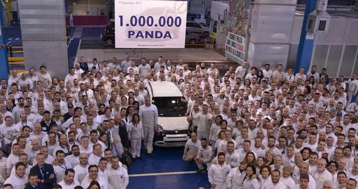 panda