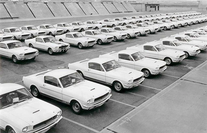 Ford Mustang Shelby GT350 e GT500: la storia