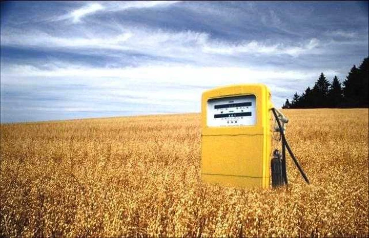 I biocarburanti? Causano la deforestazione
