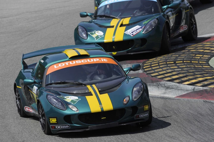 Lotus Cup