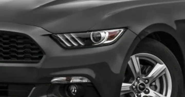 mustang