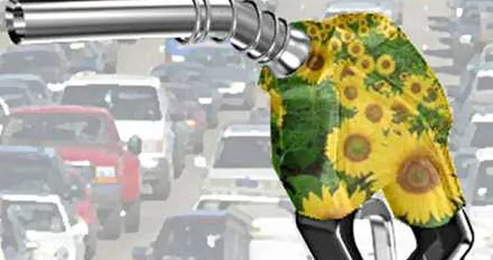 Le nuove frontiere dei biocarburanti