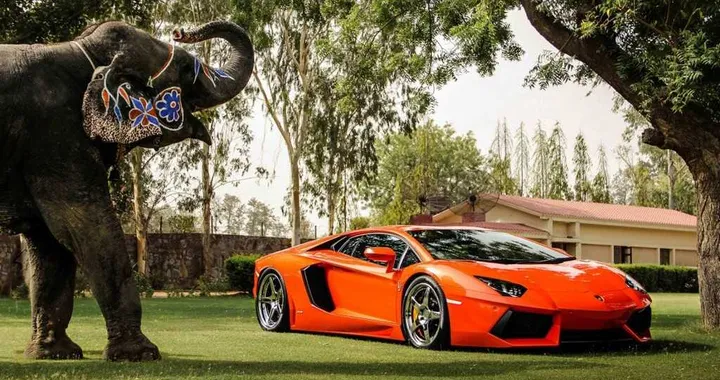 Lamborghini Aventador: in posa con l’elefante