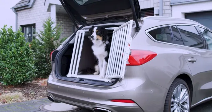 Nuova Ford Focus Wagon: un box per trasportare i cani