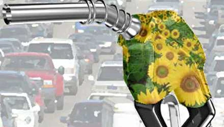 Le nuove frontiere dei biocarburanti