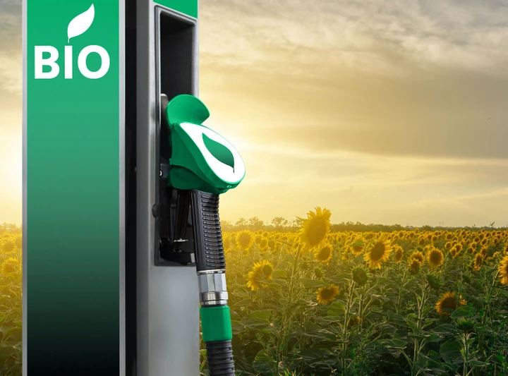 Biocarburanti: cosa e quali sono, vantaggi per il settore auto