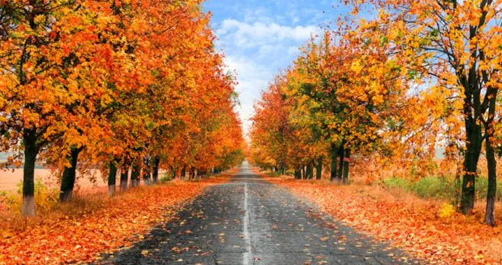 La guida difensiva in autunno
