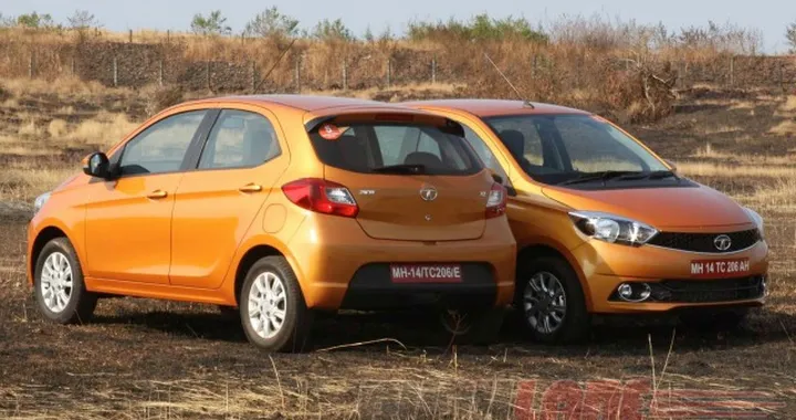 Tata Zica: cambio di nome per colpa del virus Zika