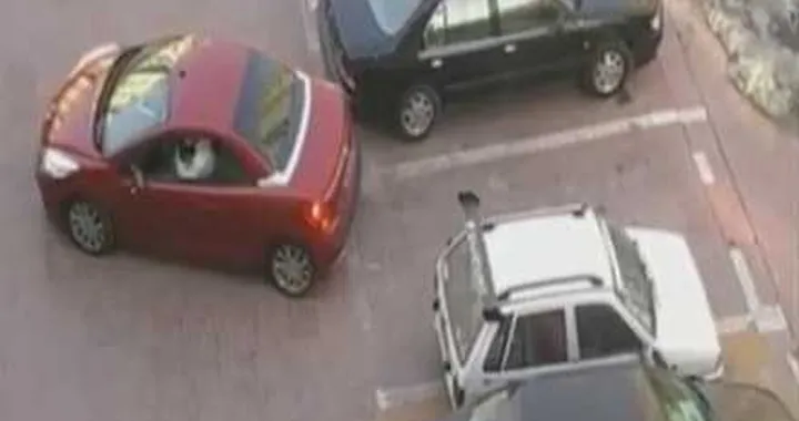 La tenacia è donna: guardate che parcheggio!