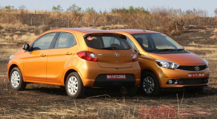 Tata Zica: cambio di nome per colpa del virus Zika
