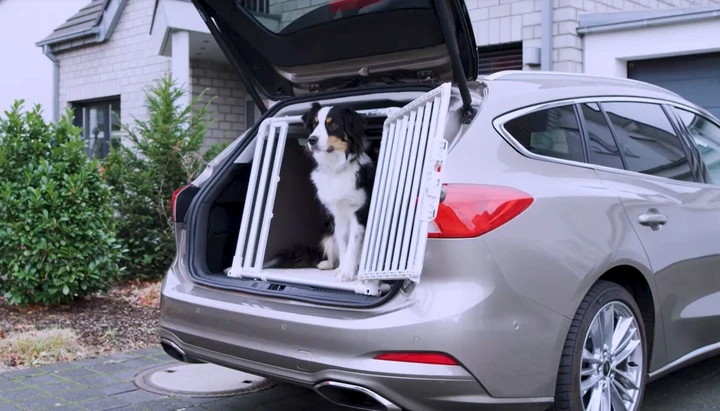 Nuova Ford Focus Wagon: un box per trasportare i cani