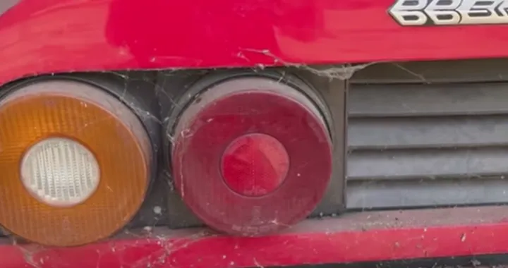 Una Ferrari 512bb caduta nel dimenticatoio: primo lavaggio in 28 anni [VIDEO]