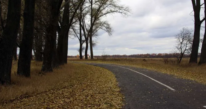 Pneumatici invernali? Anche in autunno